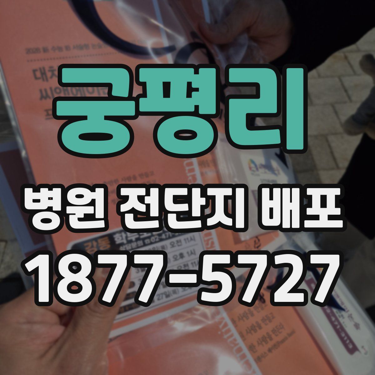궁평리 병원 전단지 배포