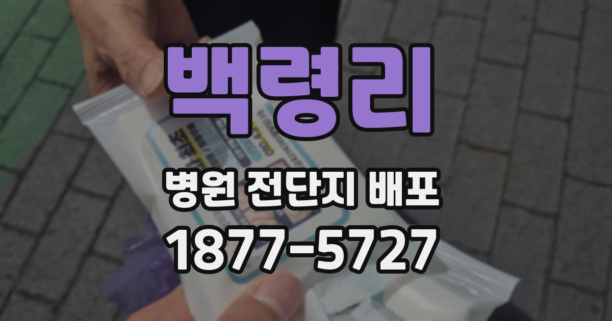 백령리 병원 전단지 배포