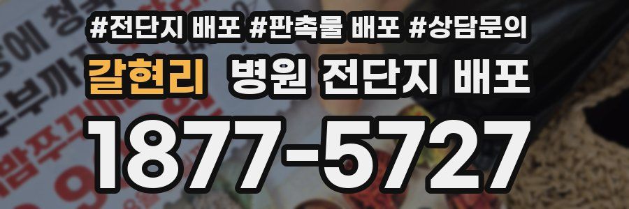 갈현리 병원 전단지 배포