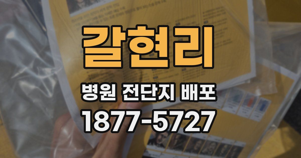 갈현리 병원 전단지 배포