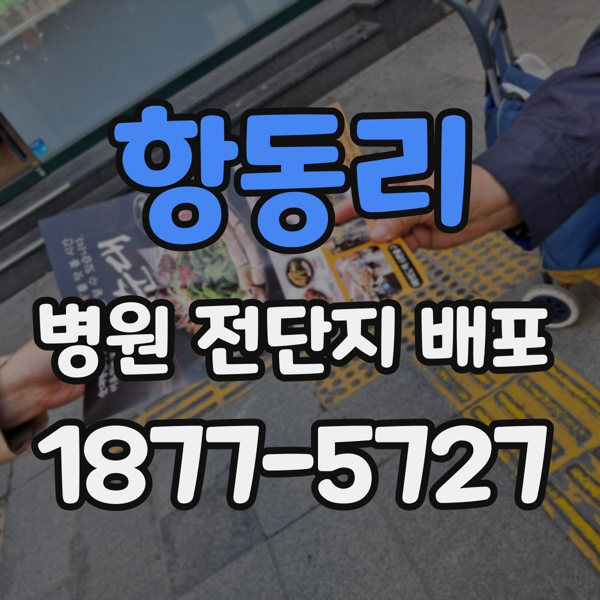 항동리 병원 전단지 배포
