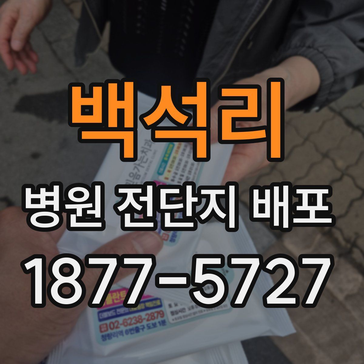 백석리 병원 전단지 배포