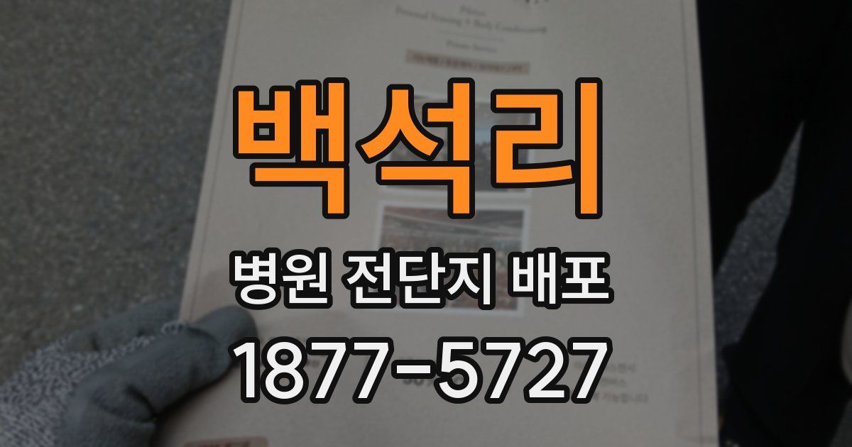 백석리 병원 전단지 배포