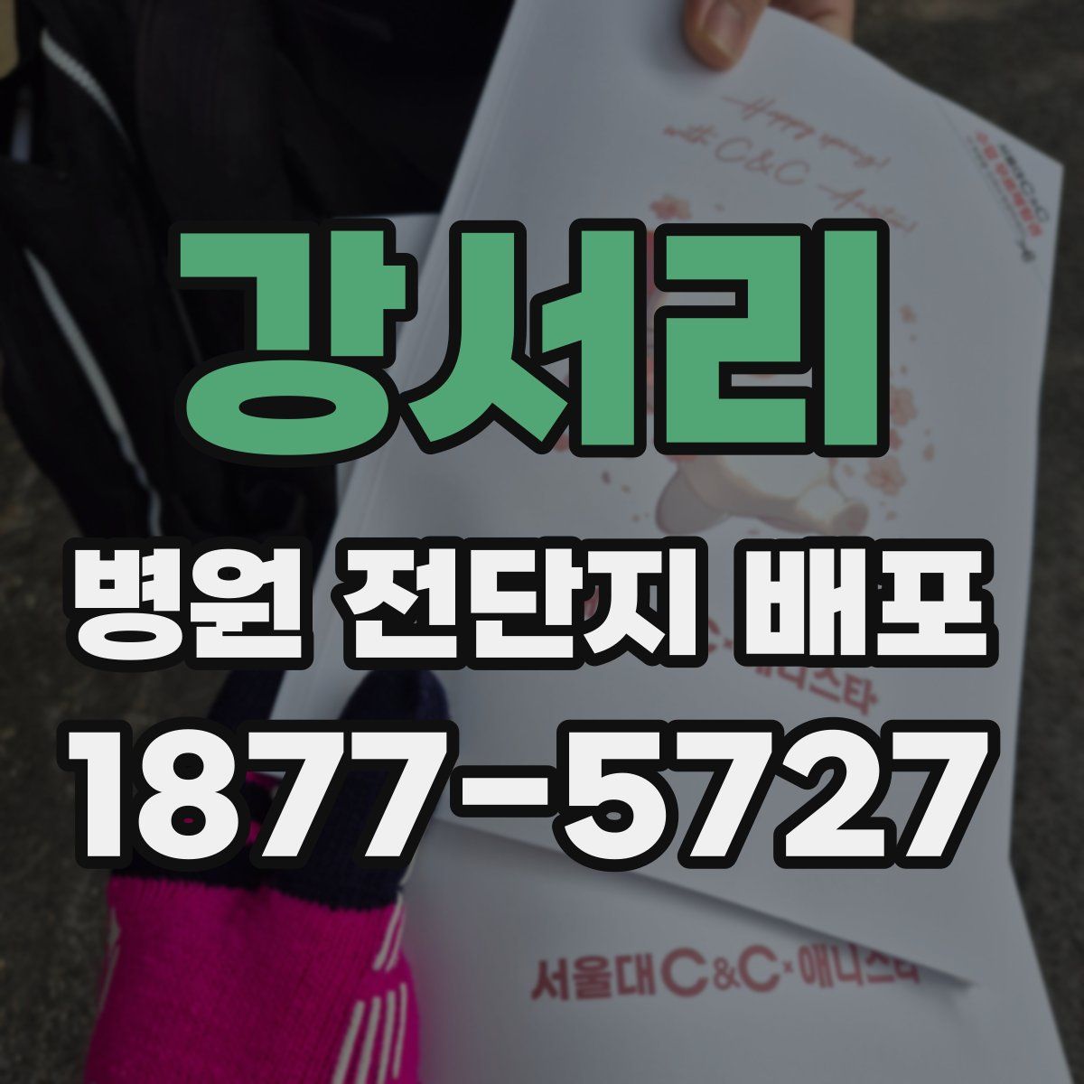 강서리 병원 전단지 배포
