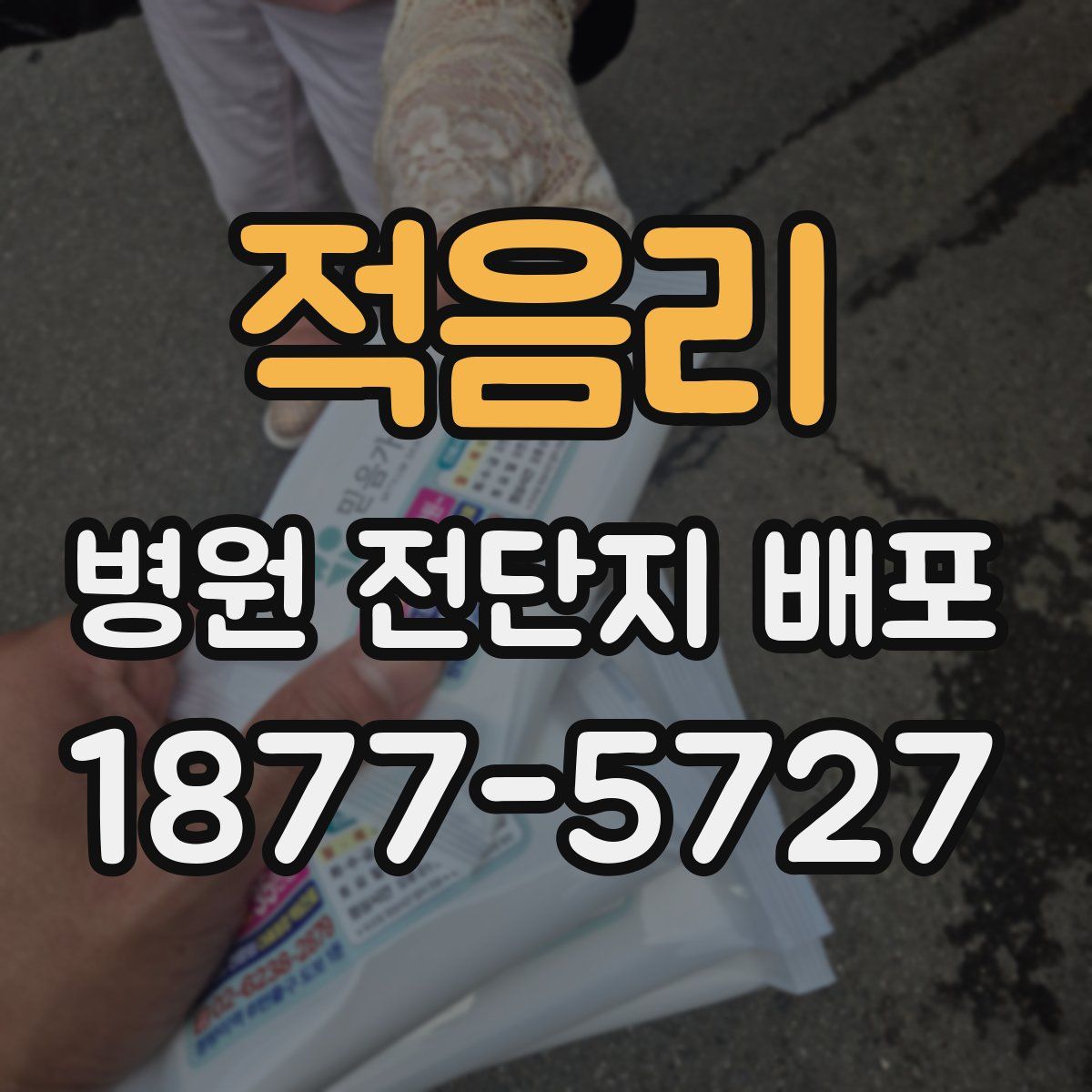 적음리 병원 전단지 배포