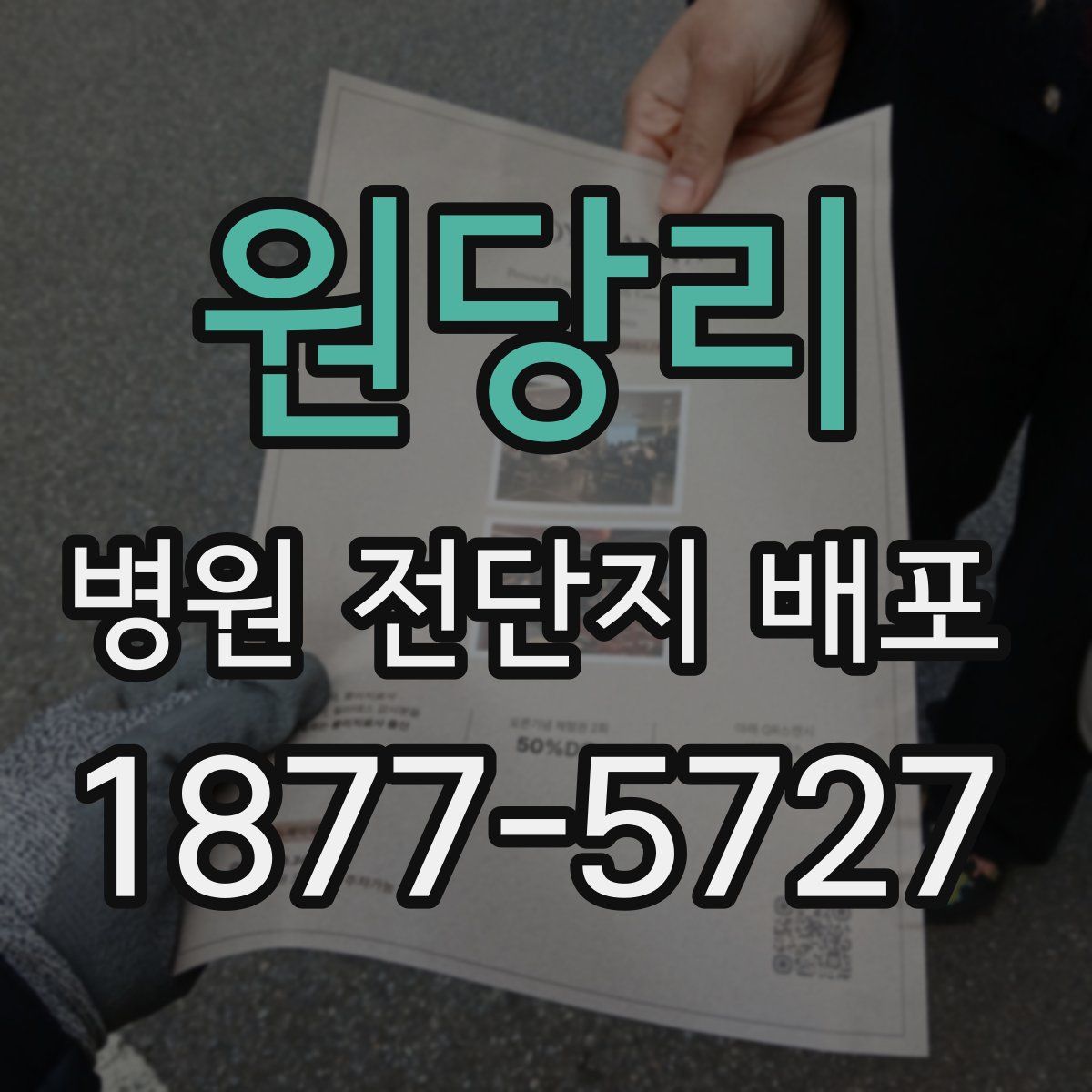원당리 병원 전단지 배포
