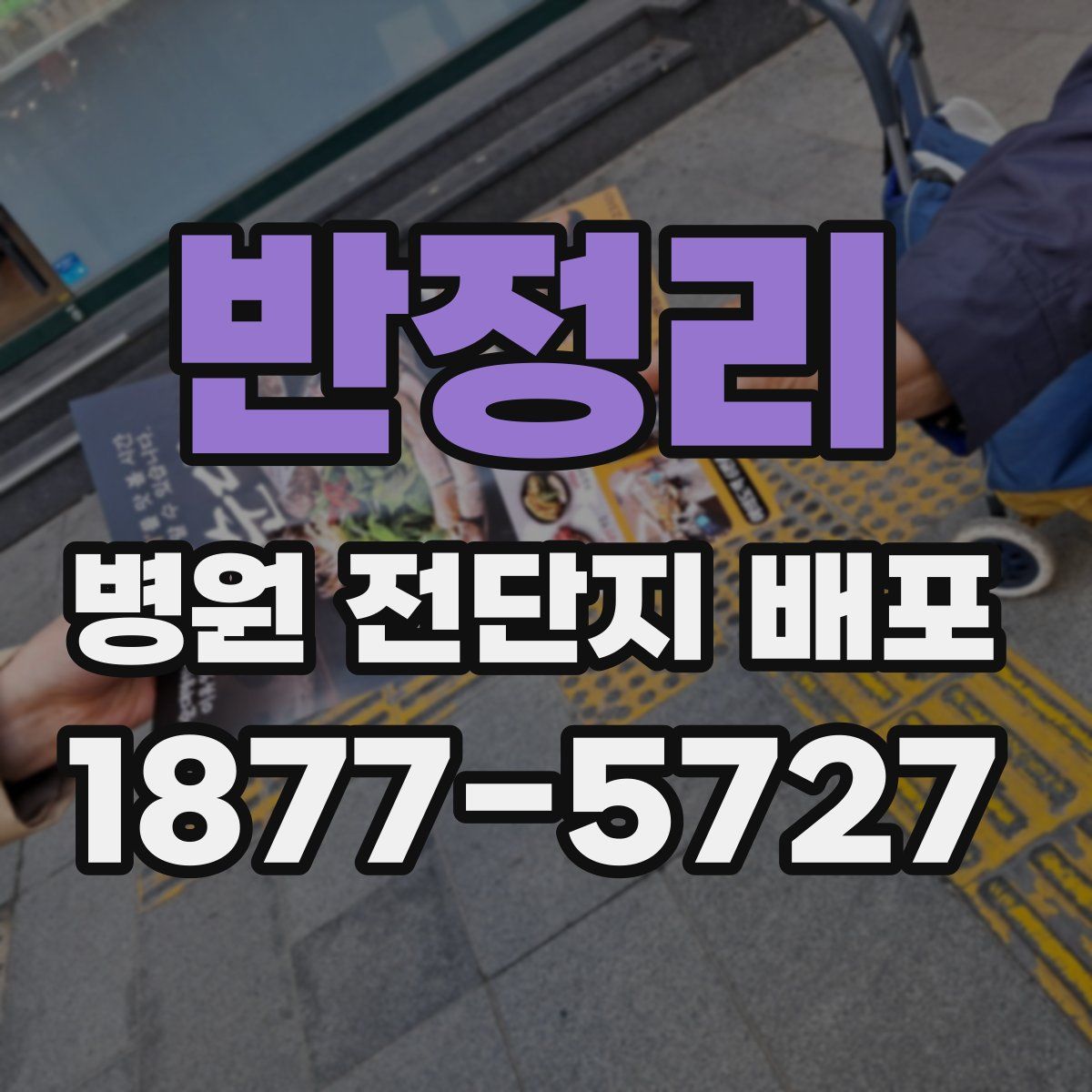 반정리 병원 전단지 배포