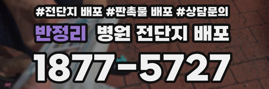 반정리 병원 전단지 배포