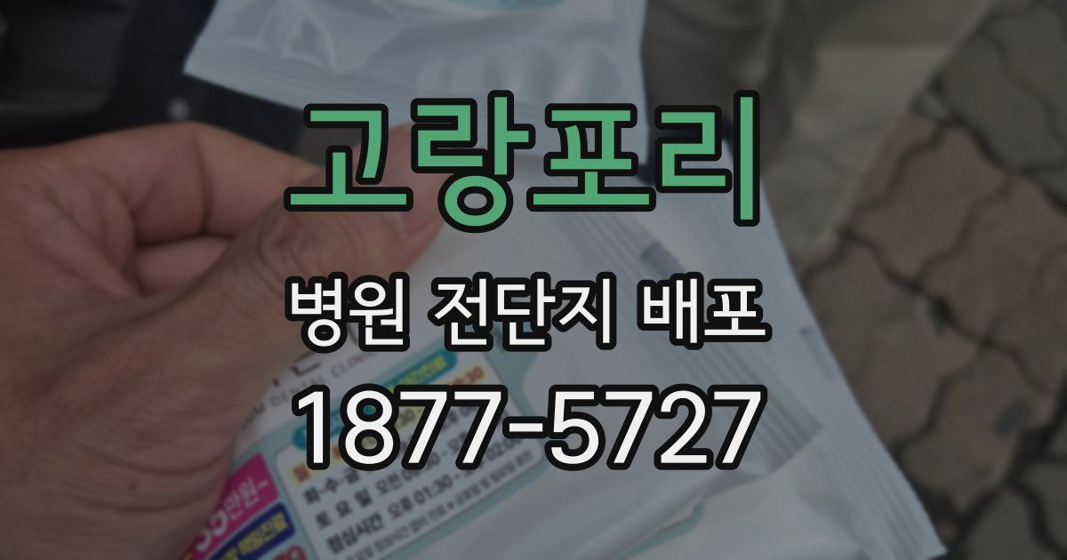 고랑포리 병원 전단지 배포