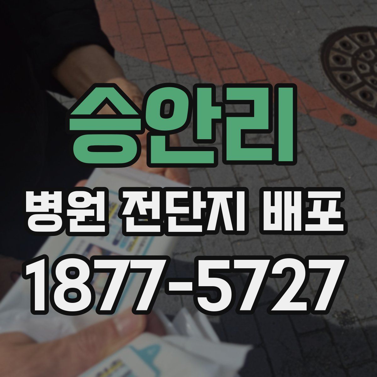 승안리 병원 전단지 배포