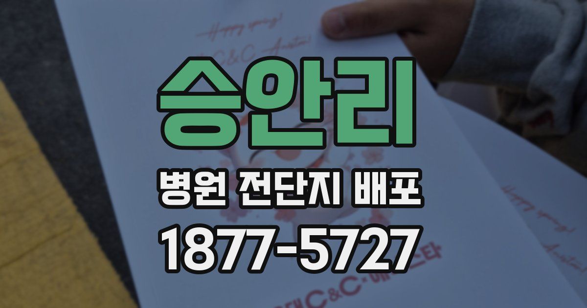 승안리 병원 전단지 배포