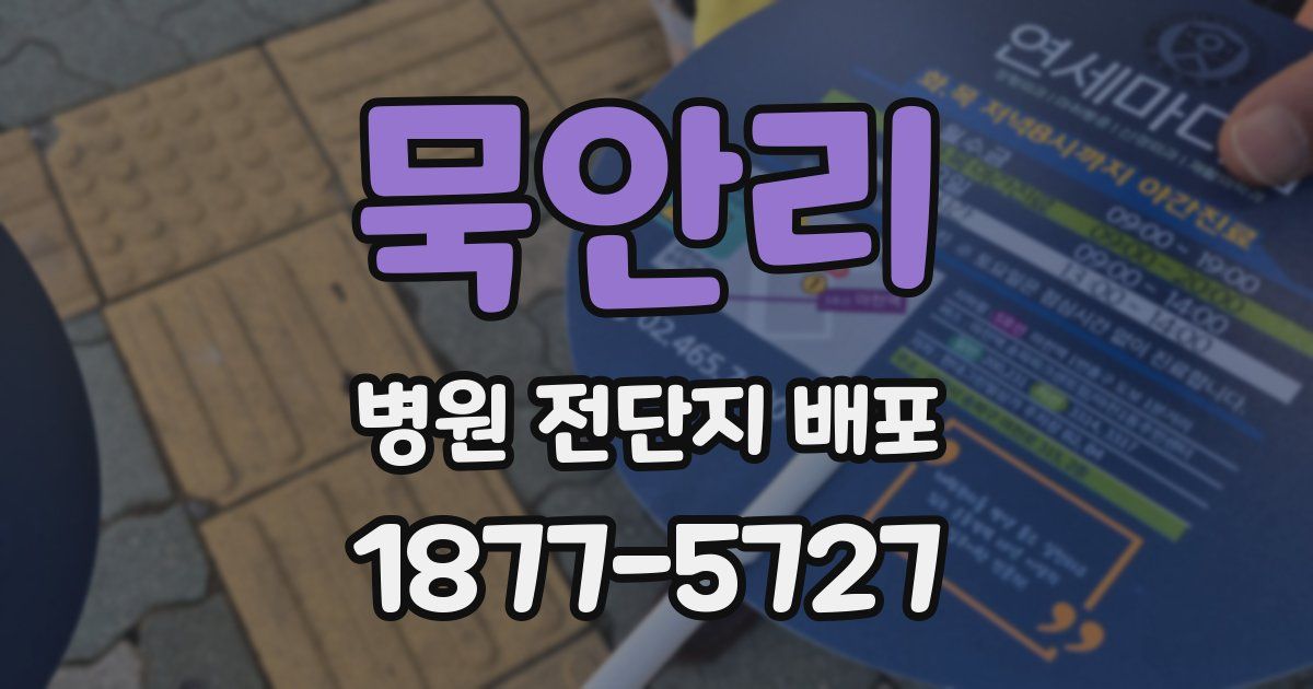 묵안리 병원 전단지 배포