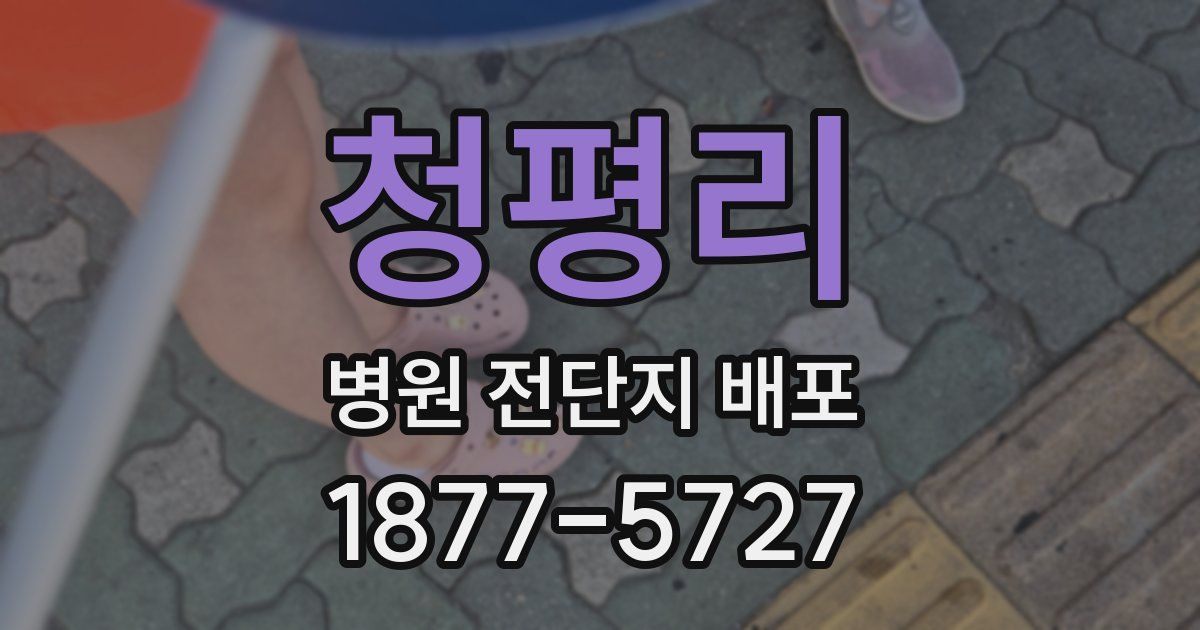 청평리 병원 전단지 배포