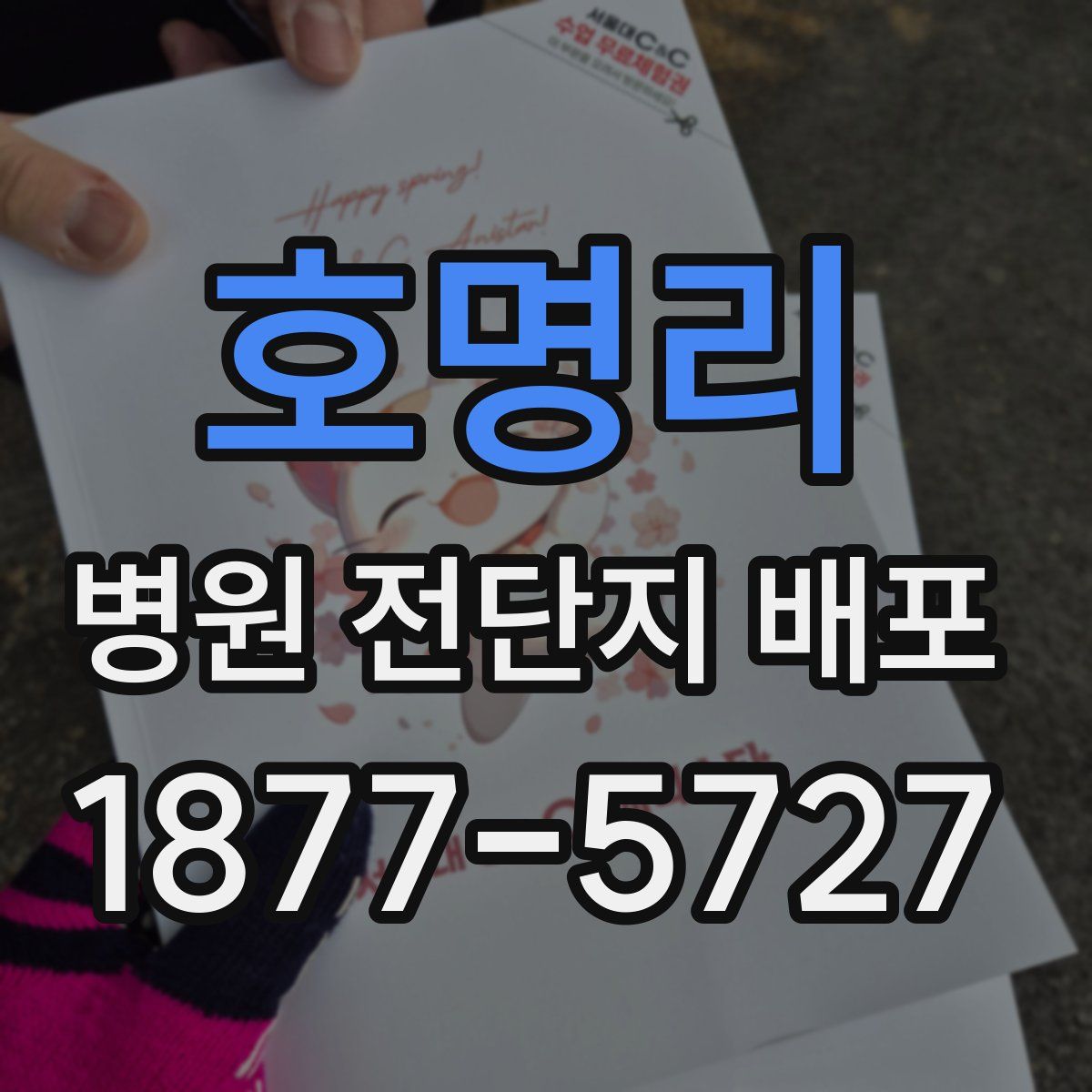 호명리 병원 전단지 배포
