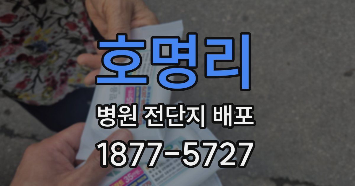 호명리 병원 전단지 배포