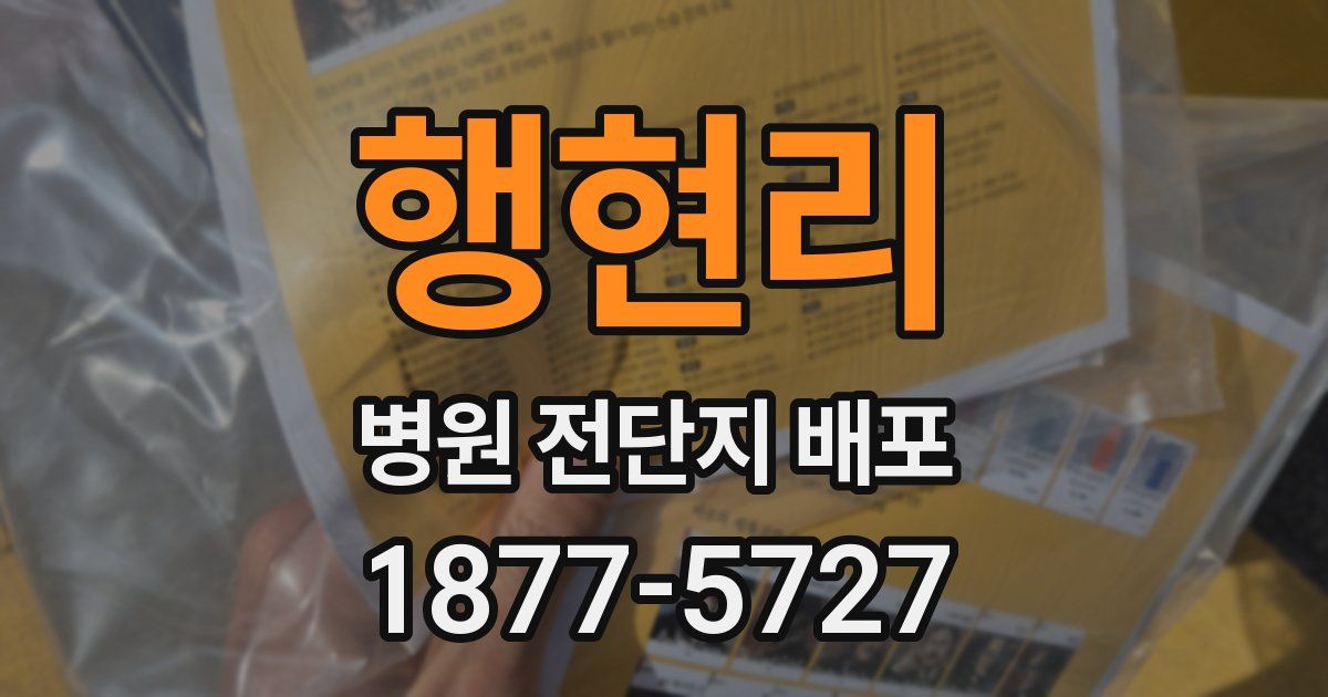행현리 병원 전단지 배포