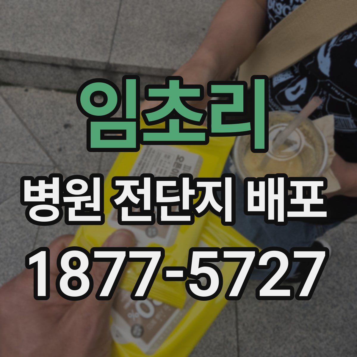 임초리 병원 전단지 배포