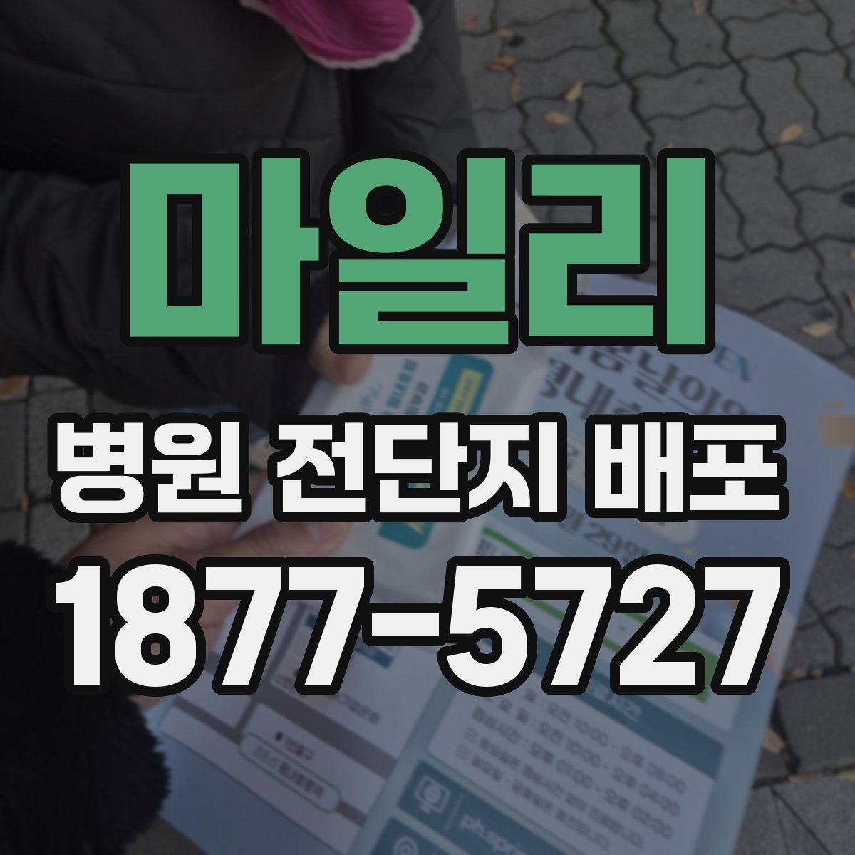 마일리 병원 전단지 배포
