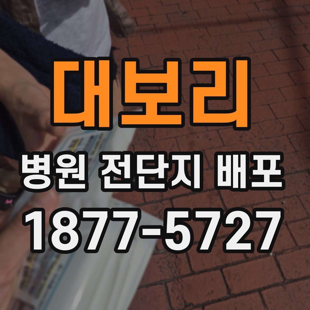 대보리 병원 전단지 배포