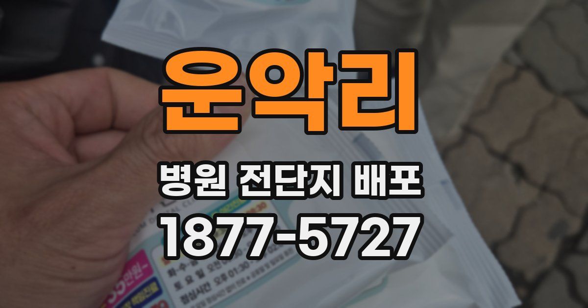 운악리 병원 전단지 배포