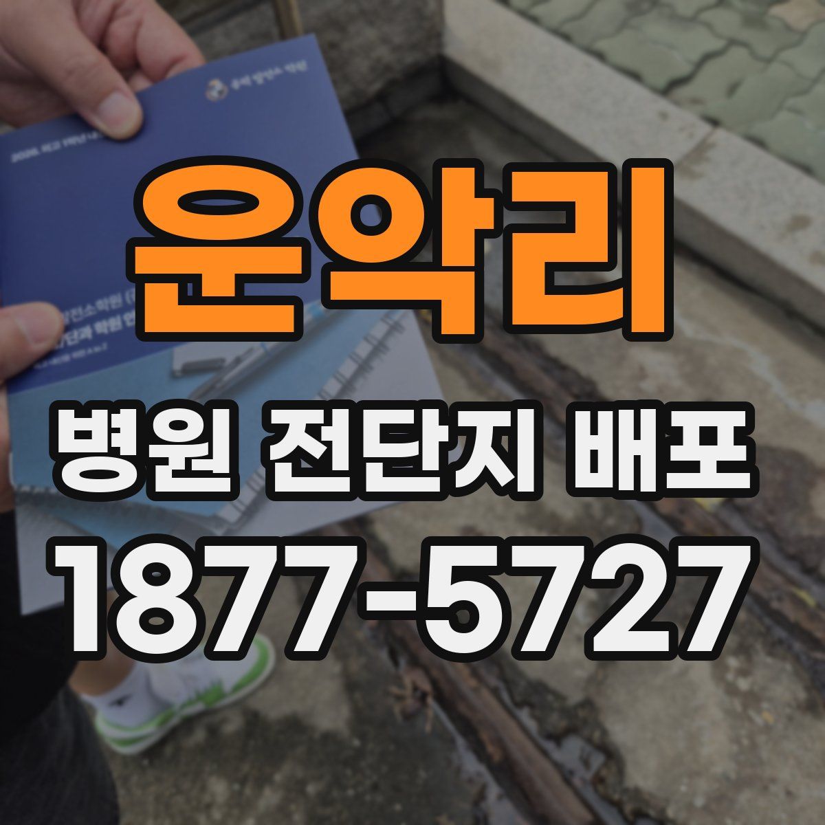 운악리 병원 전단지 배포