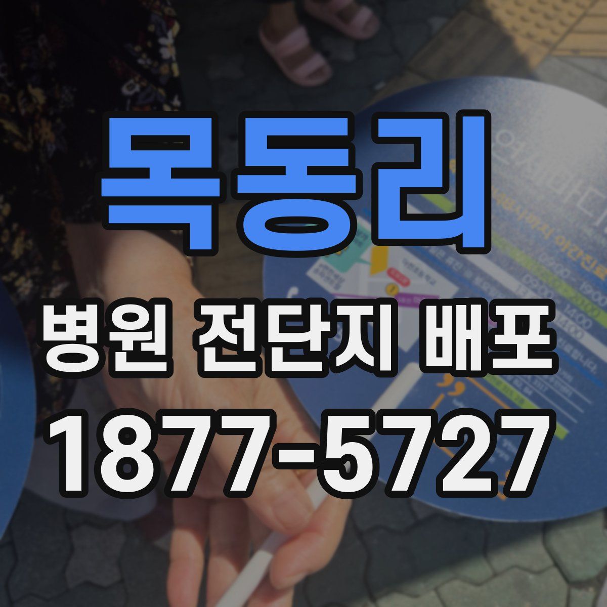 목동리 병원 전단지 배포