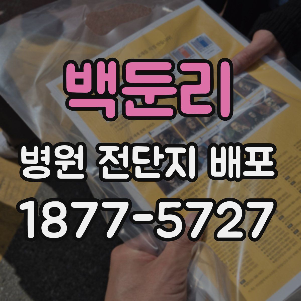 백둔리 병원 전단지 배포