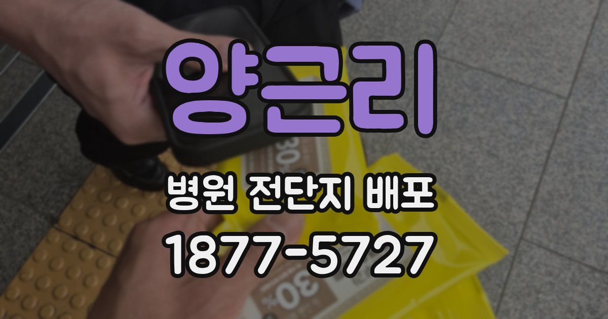 양근리 병원 전단지 배포