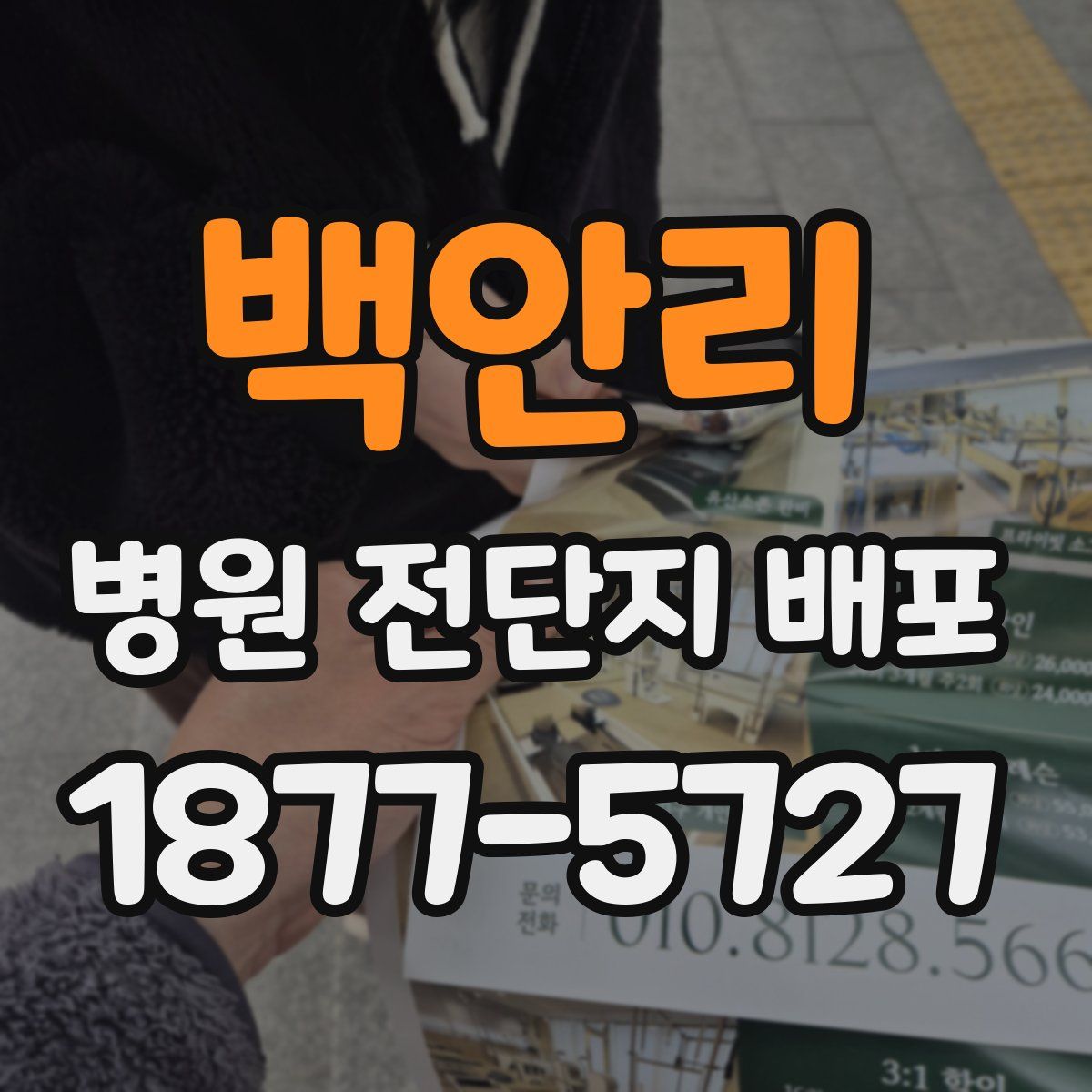 백안리 병원 전단지 배포