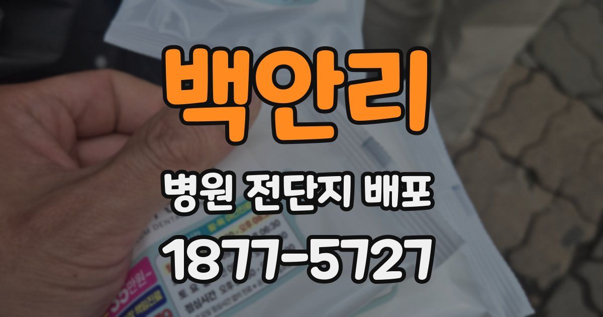 백안리 병원 전단지 배포