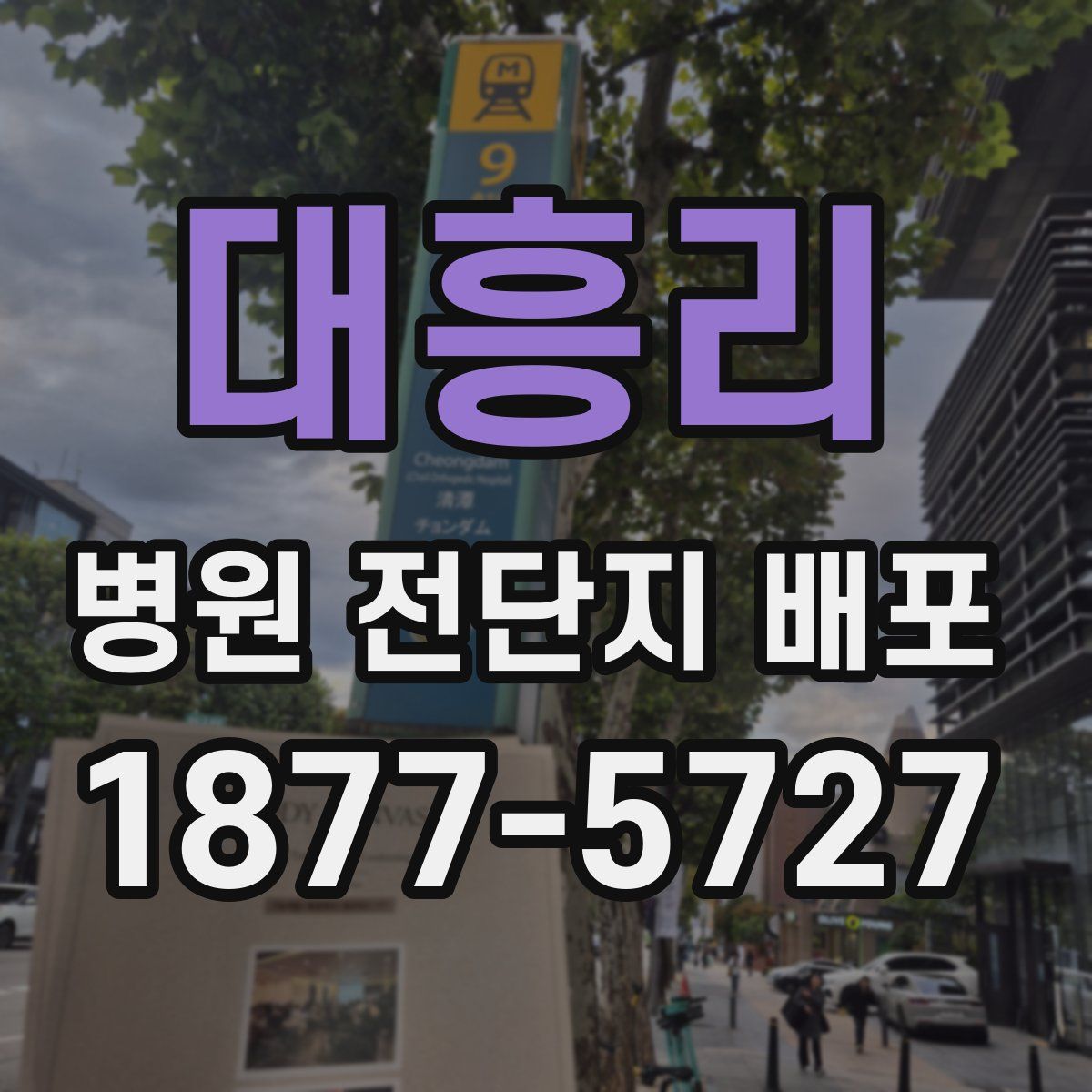 대흥리 병원 전단지 배포