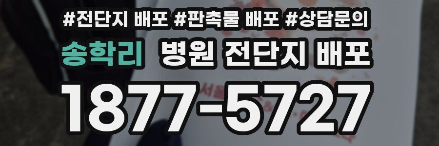 송학리 병원 전단지 배포