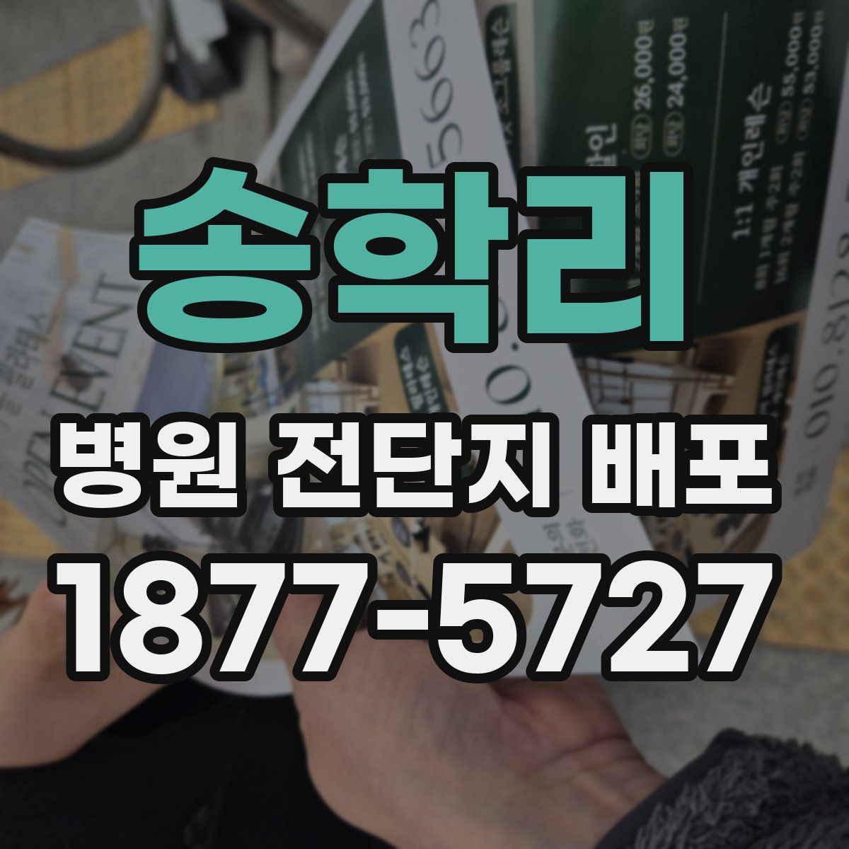 송학리 병원 전단지 배포