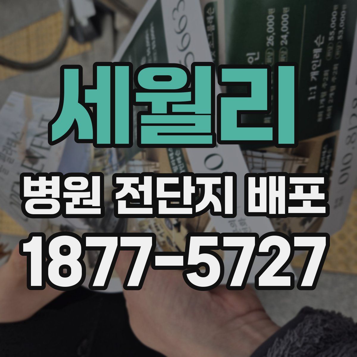 세월리 병원 전단지 배포