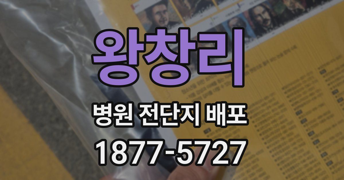 왕창리 병원 전단지 배포