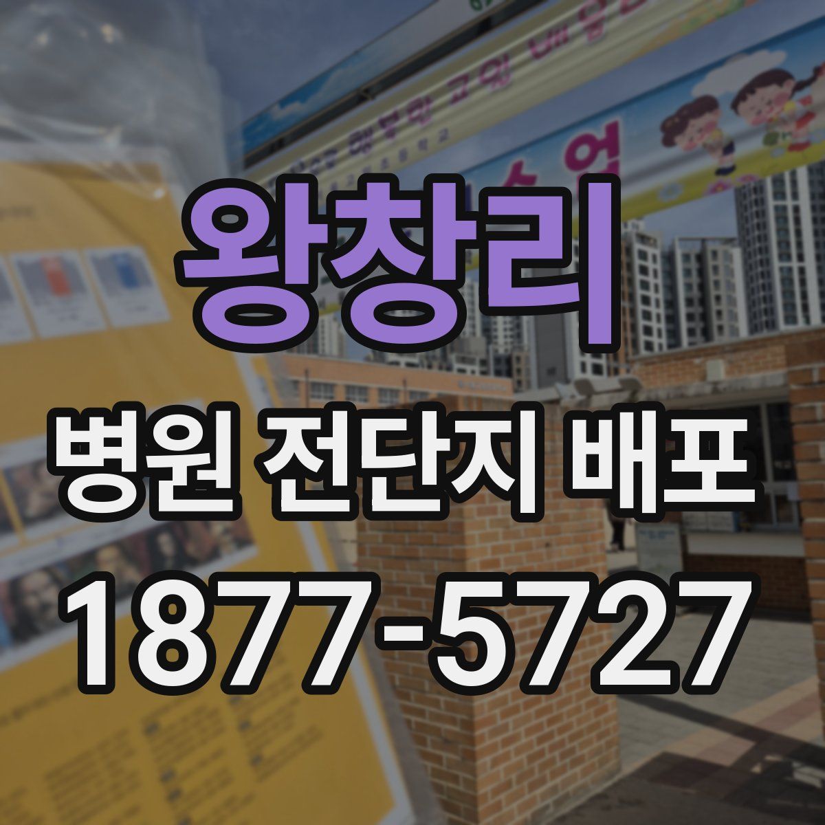 왕창리 병원 전단지 배포
