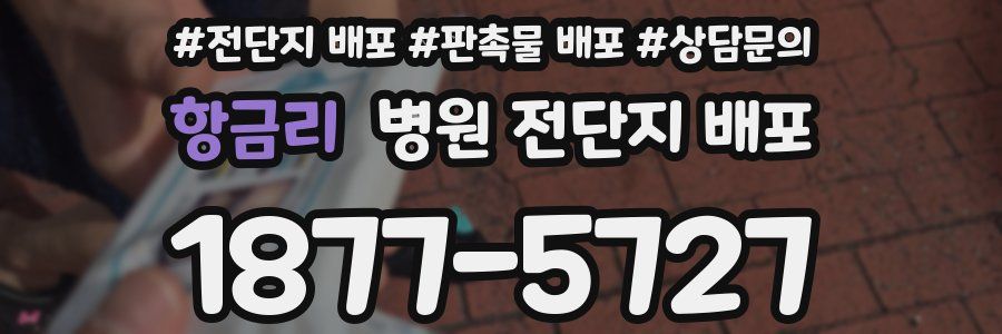 항금리 병원 전단지 배포