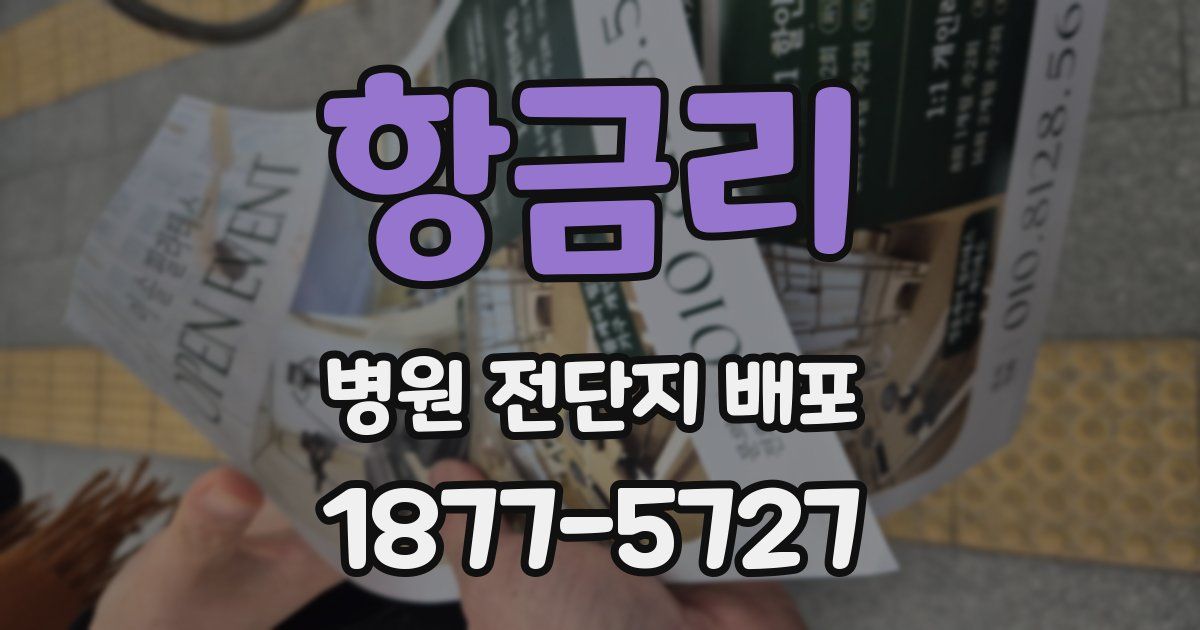 항금리 병원 전단지 배포