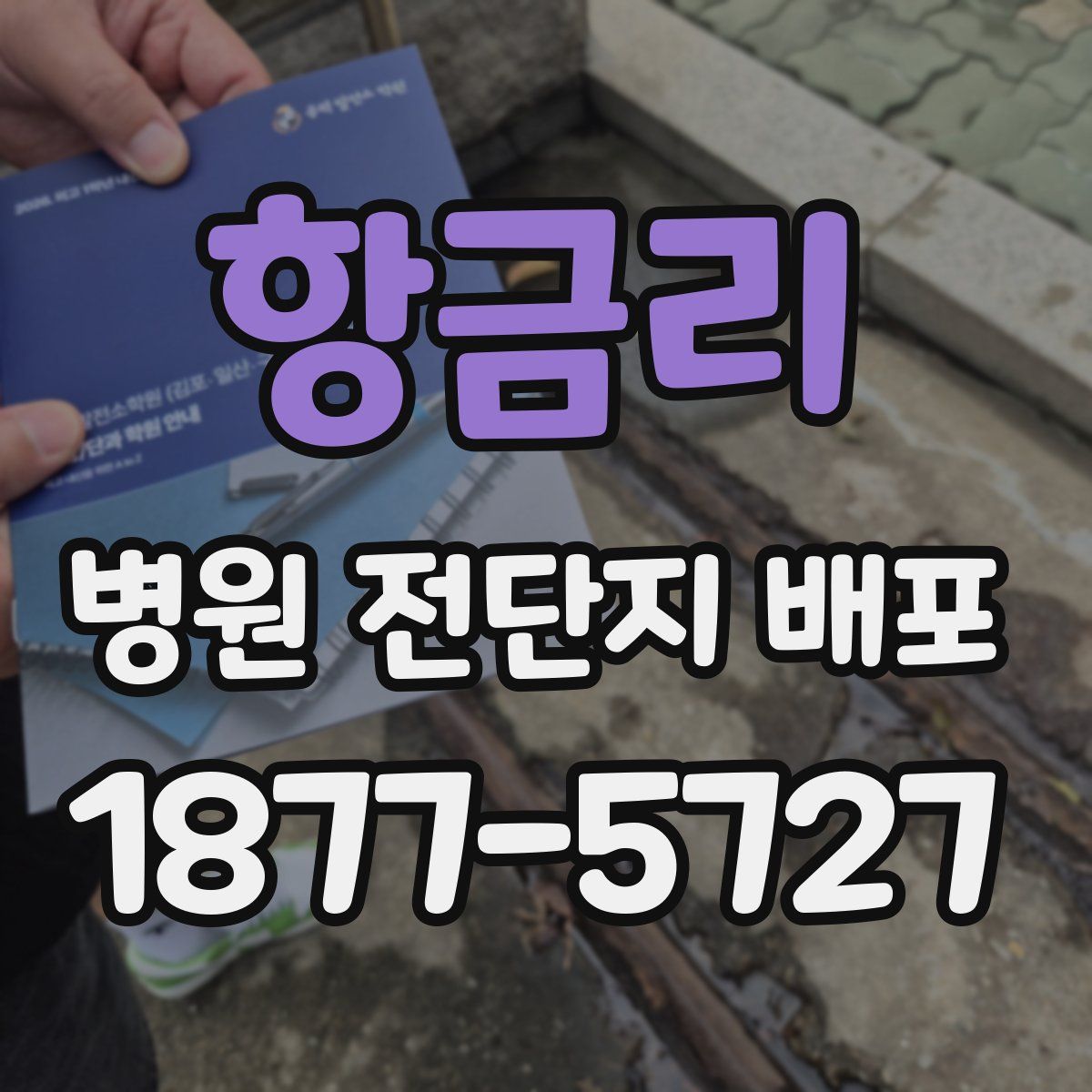 항금리 병원 전단지 배포