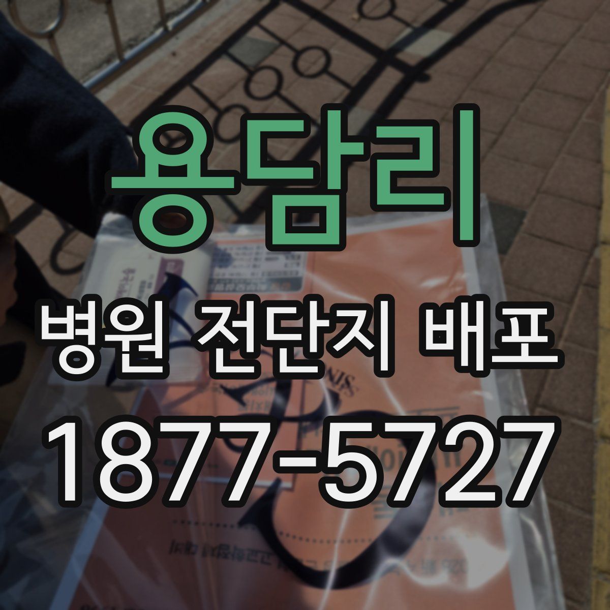 용담리 병원 전단지 배포