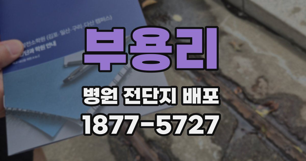 부용리 병원 전단지 배포