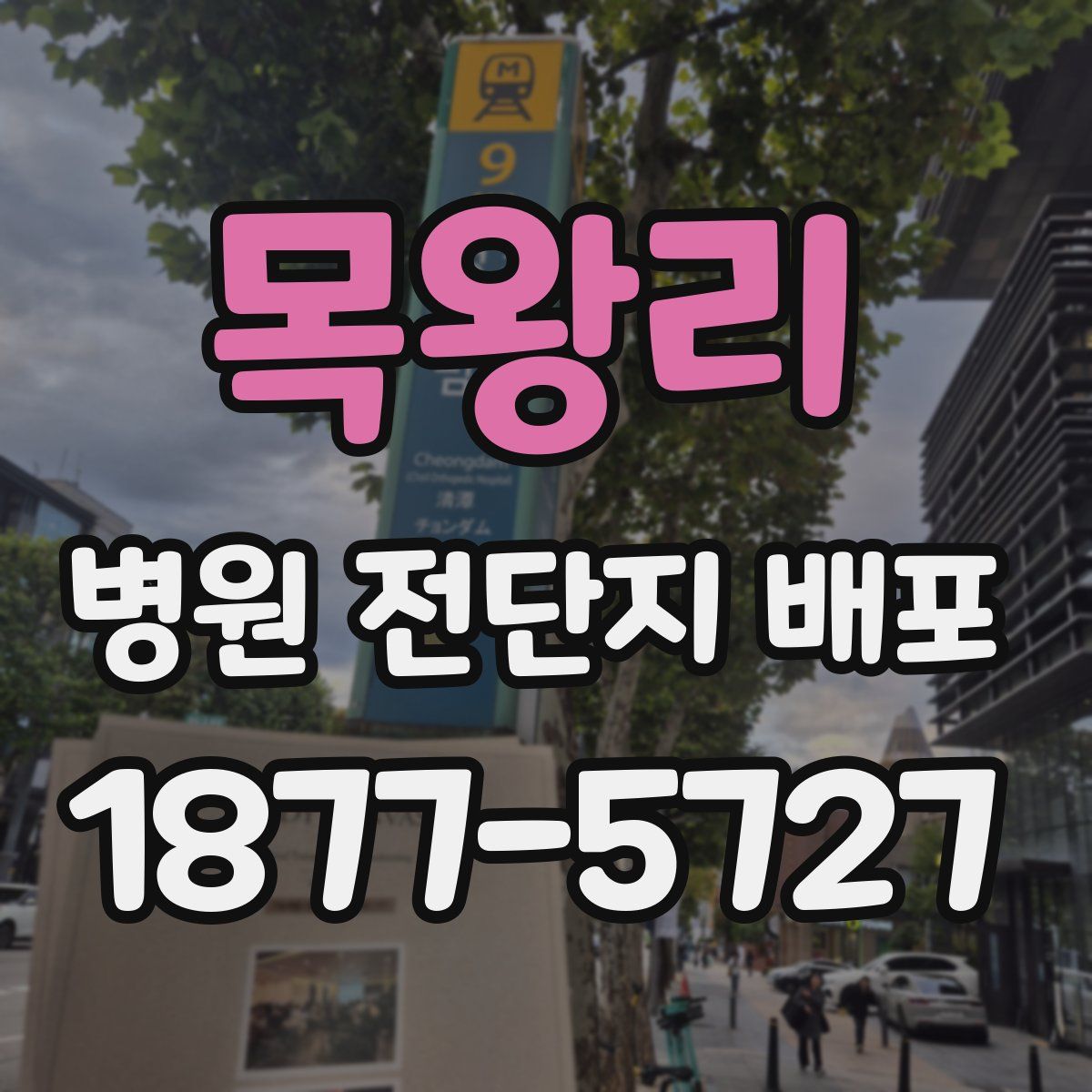 목왕리 병원 전단지 배포