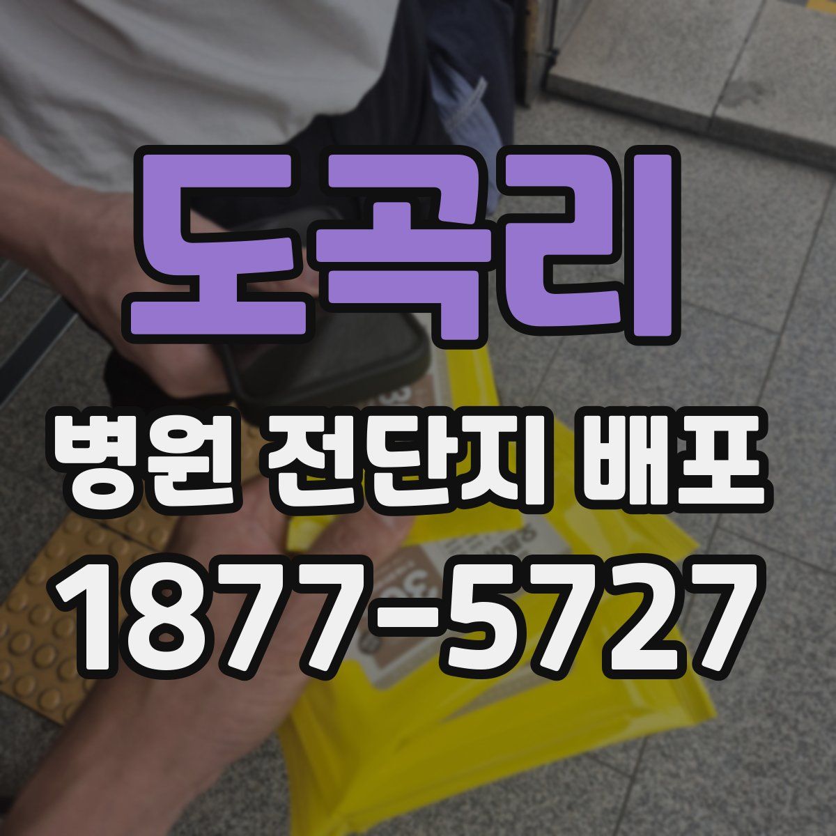 도곡리 병원 전단지 배포