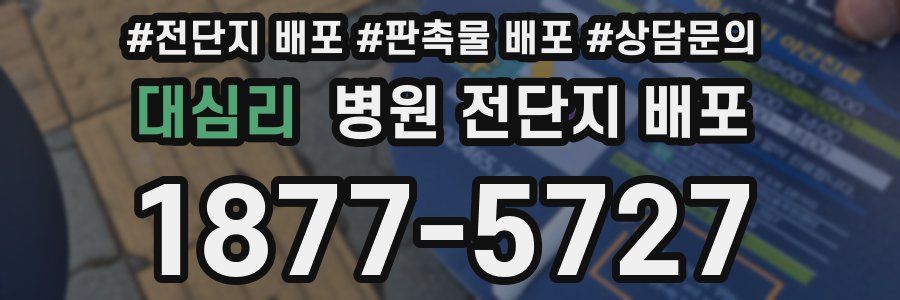 대심리 병원 전단지 배포