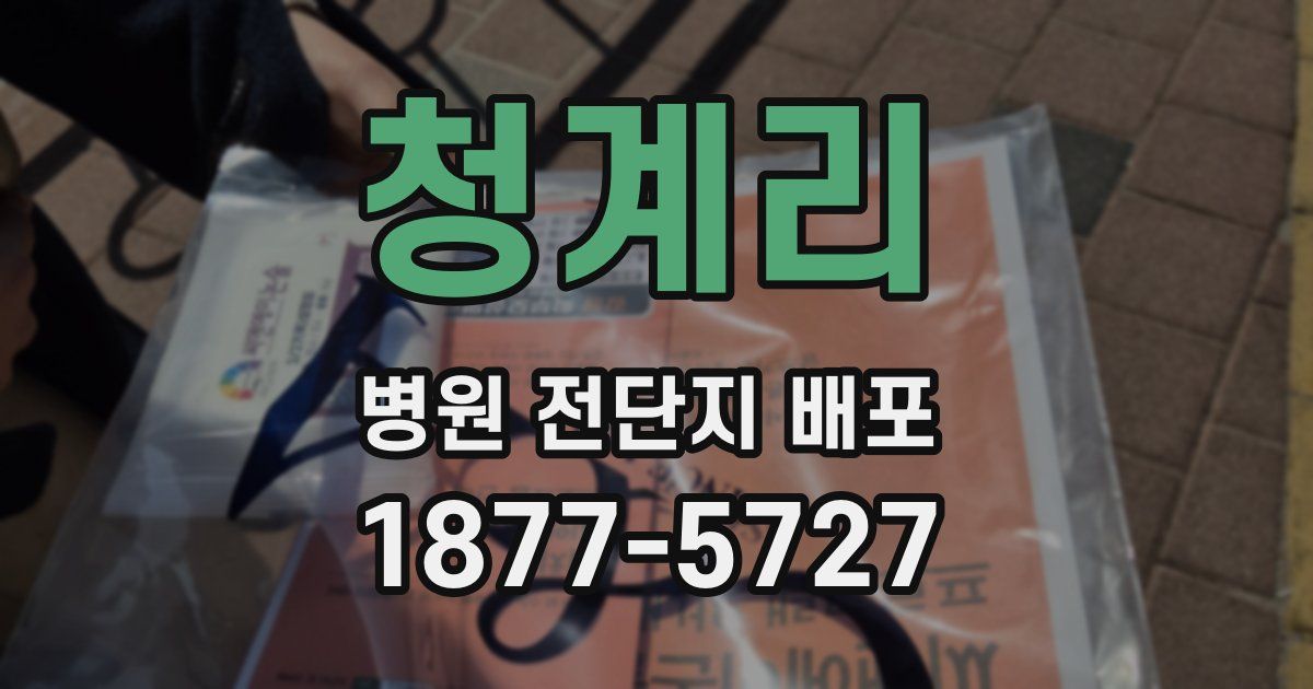 청계리 병원 전단지 배포