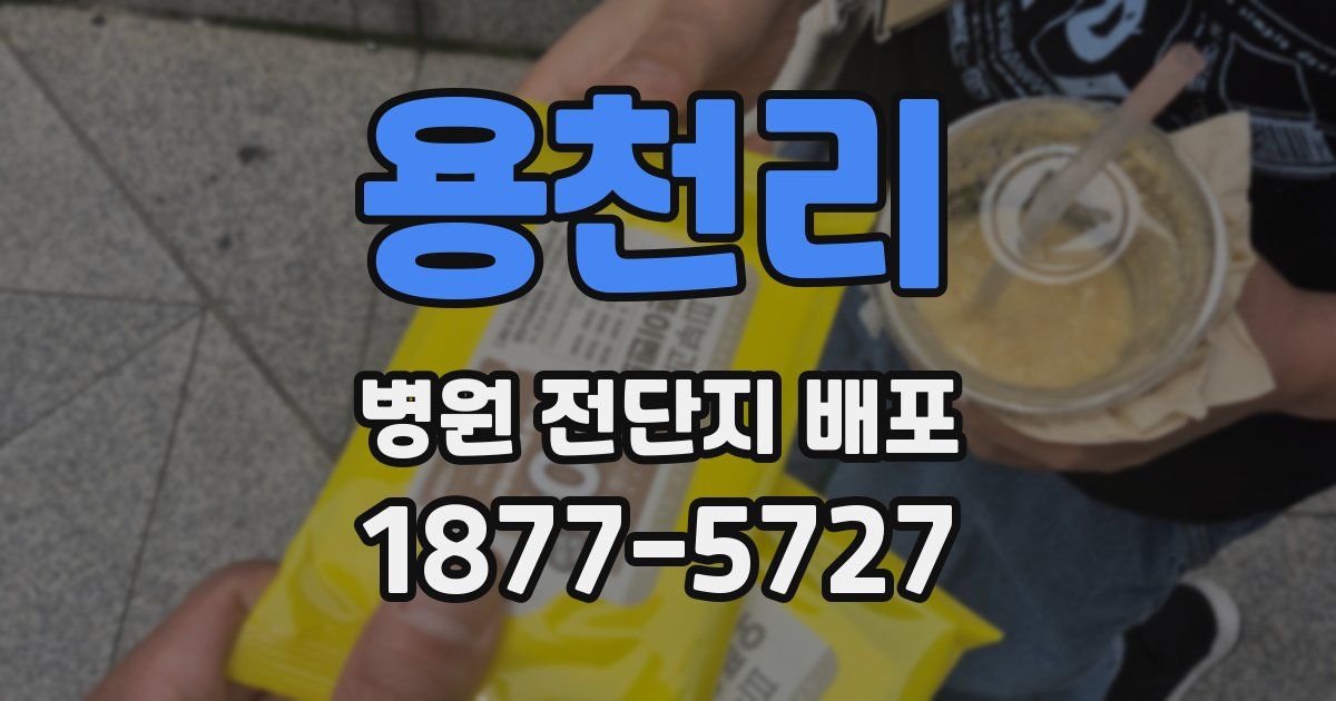 용천리 병원 전단지 배포