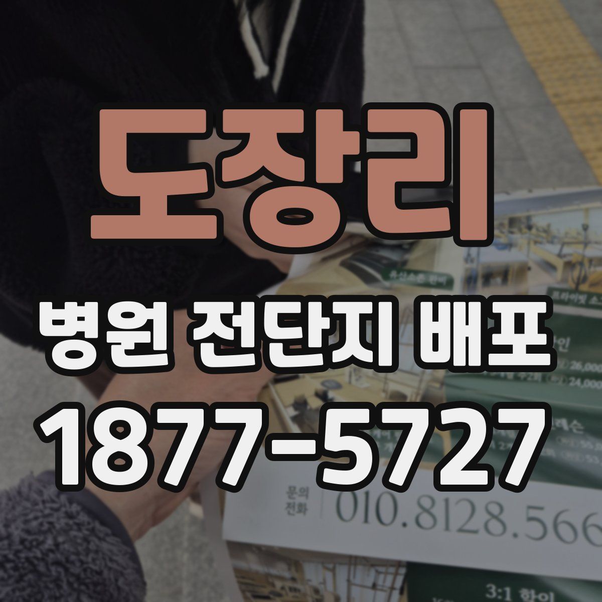 도장리 병원 전단지 배포