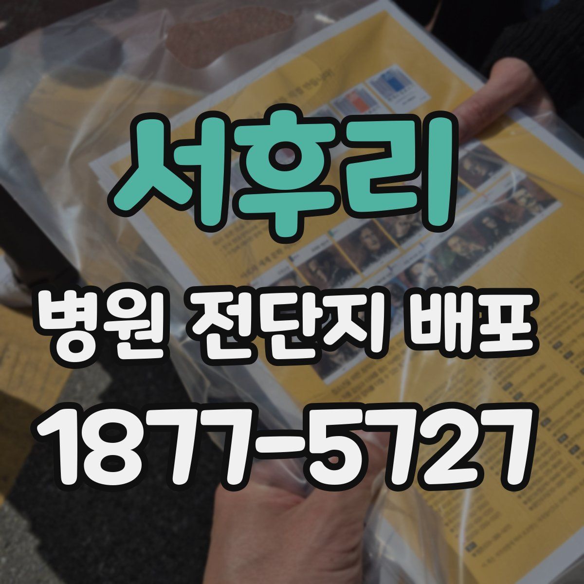 서후리 병원 전단지 배포