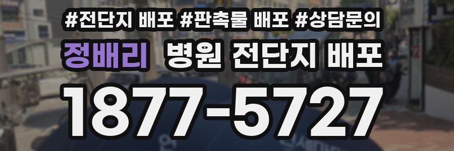 정배리 병원 전단지 배포