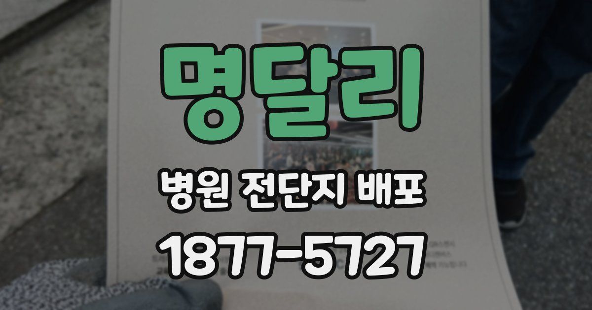 명달리 병원 전단지 배포
